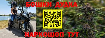 шишки Кинель