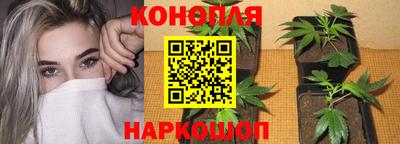 шишки Кинель