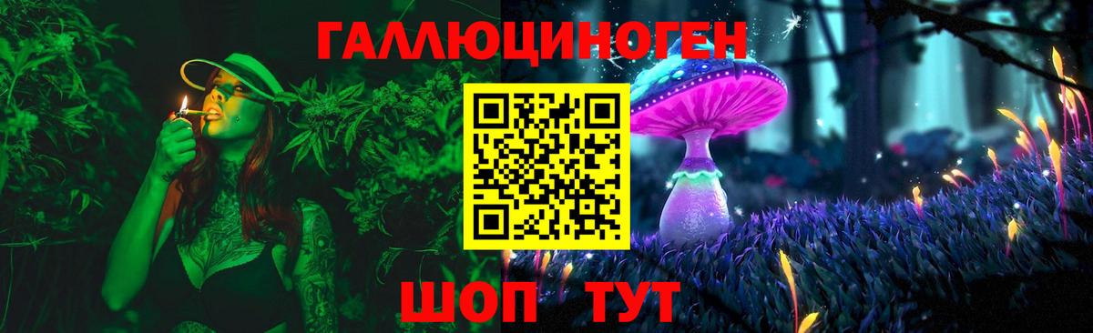Галлюциногенные грибы Psilocybine cubensis Уссурийск
